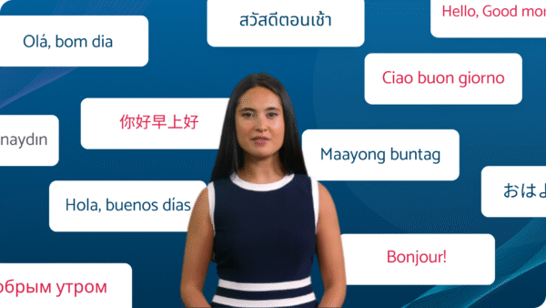 seismic alternatives 